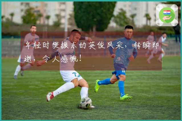 年轻时樊振东的英俊风采，转瞬即逝，令人感慨！