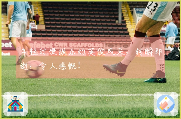 年轻时樊振东的英俊风采，转瞬即逝，令人感慨！